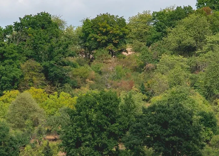 Restaurant Martha מלון ורטהיים